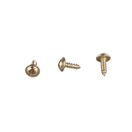 Gold Washer Head Self-Tapping Screw 3x10mm Phillips drive for picture frame assembly
