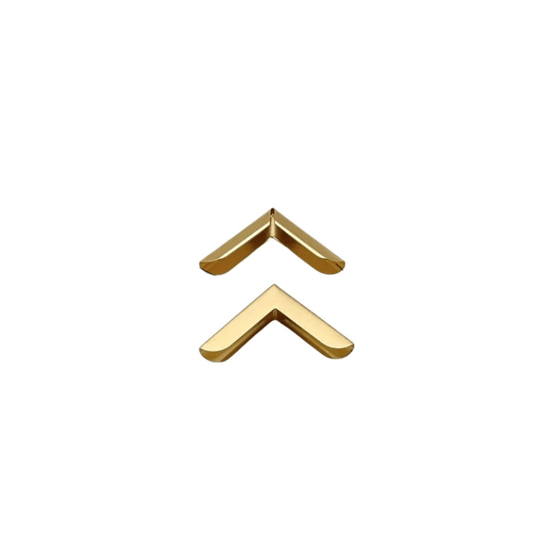 Q06-1038 Small Gold Corner Cap 25×4.5mm Slim Notebook